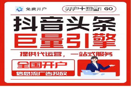 某电商平台的SEM策略与效果展示